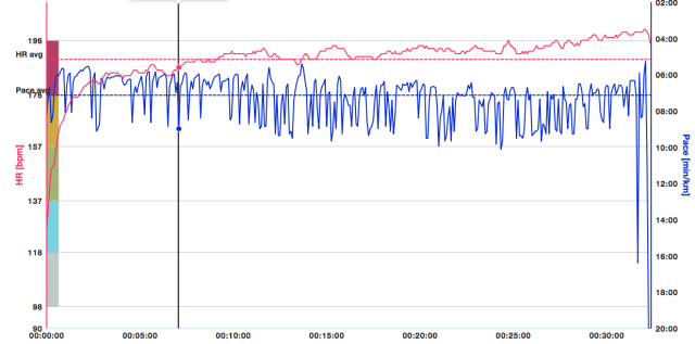 20140928 5km Haarlem Flow export HR en pace