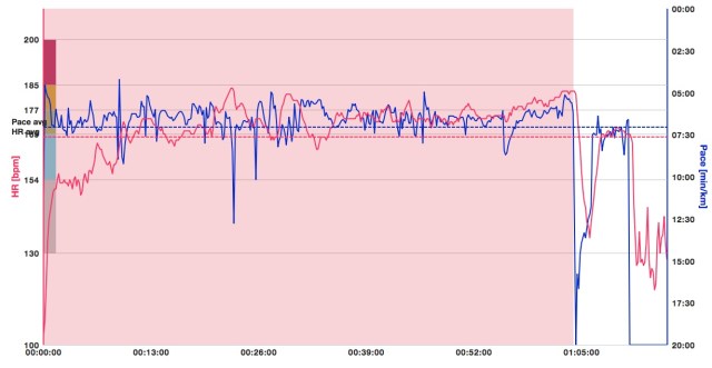 20150201_10km_Bloemendaal_HR_en_Pace