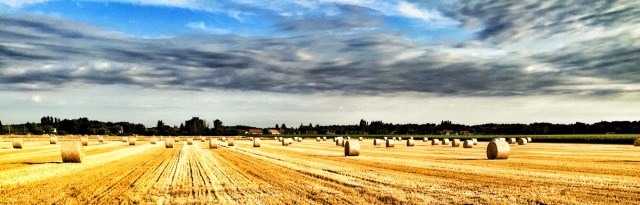 2015 08 28 trainen op vakantie-Hooi zombieinvasion